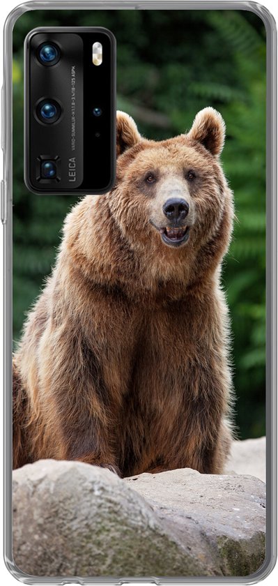Telefoonhoesje Geschikt voor Huawei P40 Pro hoesje - Bos - Beer - Stenen - Siliconen Telefoonhoesje