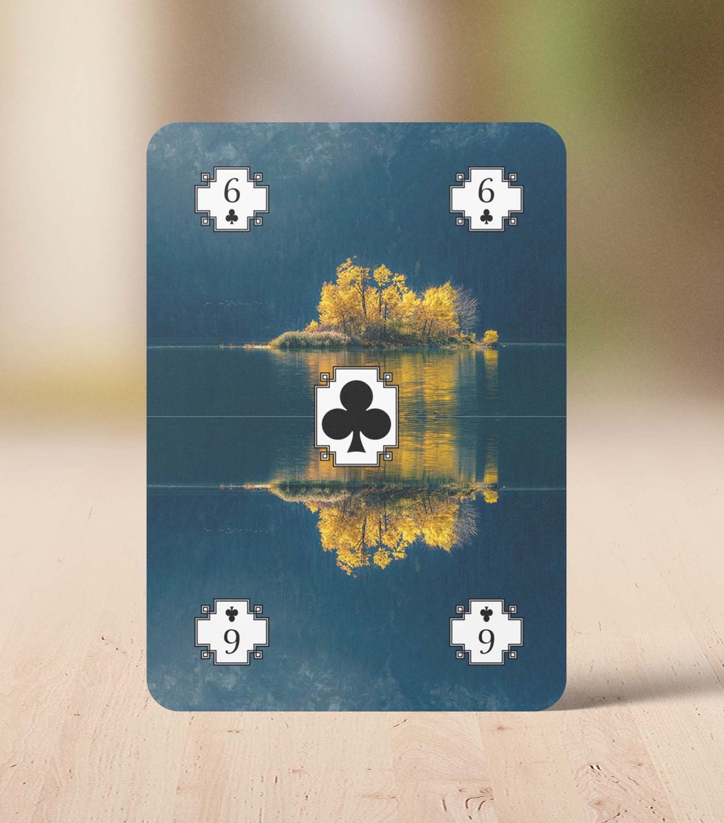Cadeautip! Speelkaarten Natuur - Hoge kwaliteit - Zelf geproduceerd - Kaartspel set - Luxe Speelkaarten - 54 kaarten - 28 afbeeldingen van de natuur - Huurdies - 62 x 88cm