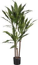 Mica Decorations Dracaena Kunstplant - H100 x Ø70 cm