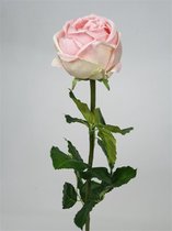 2x Pink Rose 72cm