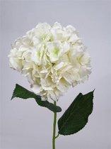 2x White Hydrangea 72cm