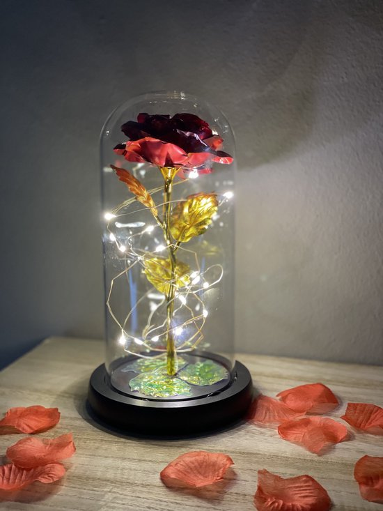 Eeuwige rode roos in glazen stolp met LED - Kerstcadeau - Sinterklaas cadeau - Moederdag, Trouw & Liefde Cadeau - Cadeau voor haar - Liefdes cadeautje - Huwelijkscadeau - Valentijnsdag