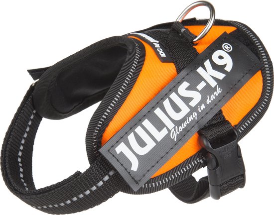 Beweging Strikt Shilling Julius-K9 IDC®High Visibility Powertuig, L - maat 1, UV oranje | bol.com