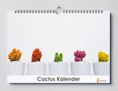 Cactus kalender 35x24 cm | Verjaardagskalender Cactussen | Verjaardagskalender Volwassenen
