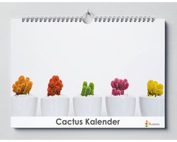 Cactus kalender 35x24 cm | Verjaardagskalender Cactussen | Verjaardagskalender Volwassenen