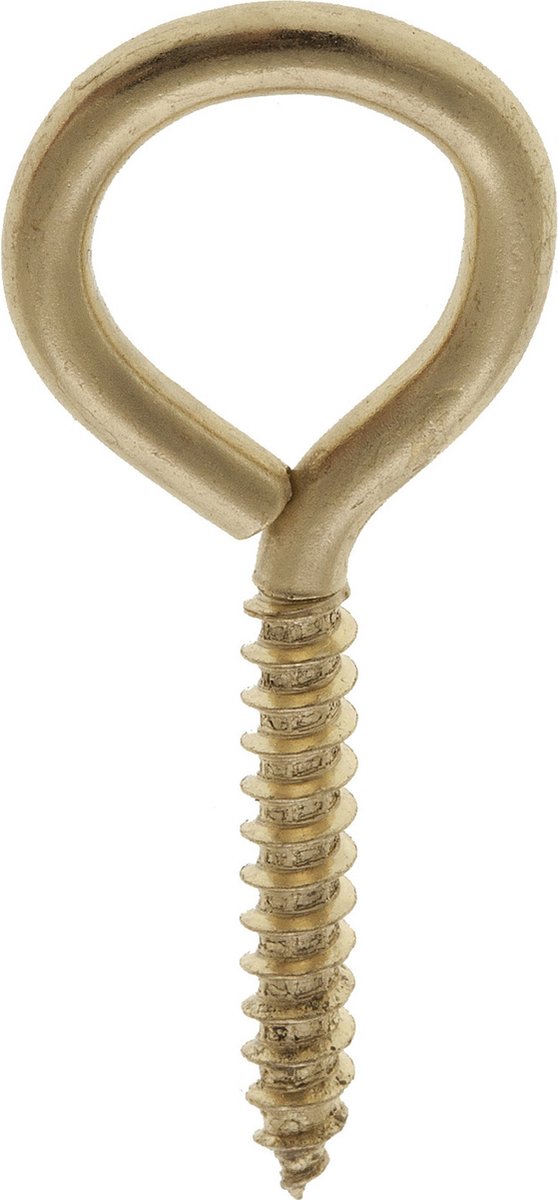 Homefix Schroefoog 22x10mm