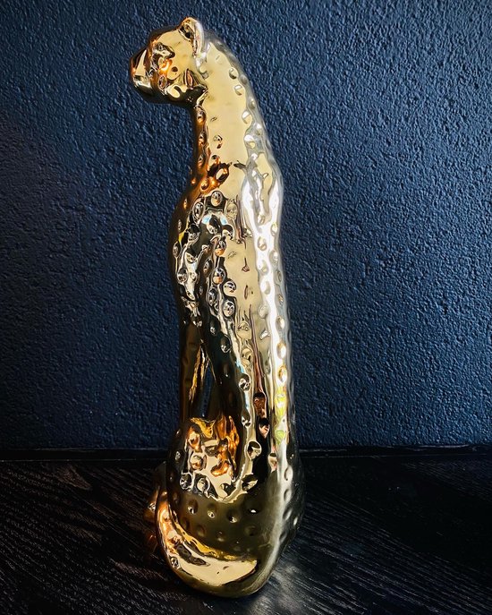 Rondje Luipaard Goud - | Juwelen met een rroaaaw