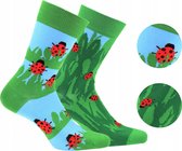 2 pack Gatta-Wola katoenen lange sokken Funky, 2 verschillende patronen, maat 43-46, Lieveheersbeestje in de natuurpatroon