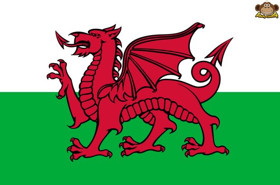 Drapeau de Pays Partychimp Pays de Galles 150 Cm Polyester Vert / blanc /  rouge | bol.com
