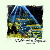 The Pond and Beyond