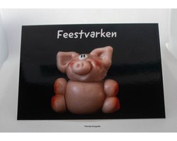 Kleintje fotografie verjaardagskaart feestvarken. wenskaarten, Felicitatiekaarten, kaartjes versturen, verjaardag, gevouwen, uitverkoop, op=op, goedkoop