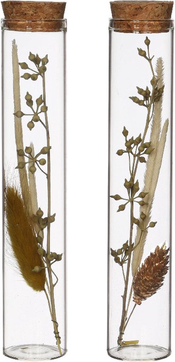 Glazen buis met diverse droogbloemen naturel Ø3cm. H: 15cm - 12 st