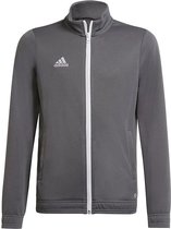 adidas Entrada 22 Sportjas Unisex - Maat 164