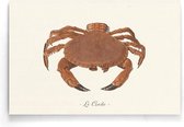 Walljar - Le Crabe - Dieren poster
