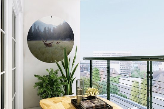 Garden Circle Forest - Cerf - Brouillard - 60x60 cm - Affiche de Jardin Ronde - Extérieur