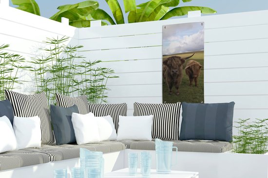 Affiche de jardin Scottish Highlander - Vaches - Nature - 30x60 cm - Toile jardin - Affiche extérieure