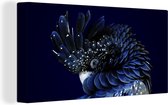 Canvas Schilderij Blauw gekleurde kaketoe met een donkere achtergrond - 40x20 cm - Wanddecoratie