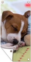 Tuinposter Puppy - Slaap - Deken - 40x80 cm - Wanddecoratie Buiten - Tuinposter - Tuindoek - Schuttingposter - Tuinschilderij