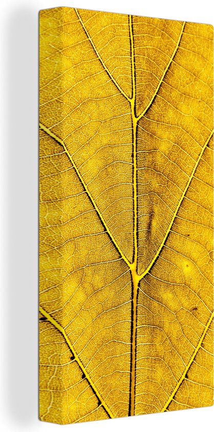 Toile Peinture Feuilles - Plantes - Jaune - 80x160 cm - Décoration murale