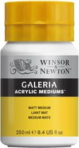 Winsor & Newton Galeria Matte Medium 250ml