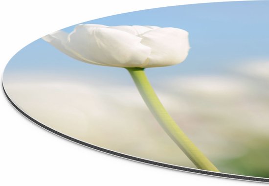 Artaza Dibond Cercle Mural Tulipes Witte - Fleurs - Ø 70 cm - Cercle Mural - Tableau Rond - Pour Intérieur et Extérieur