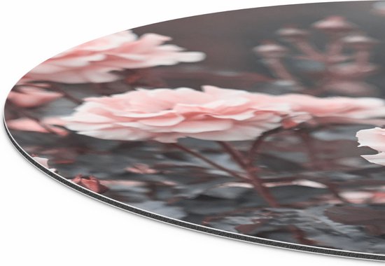 Cercle Mural Artaza Dibond - Fleurs Roses Roses - Ø 90 cm - Groot - Cercle Mural - Tableau Rond - Pour Intérieur et Extérieur