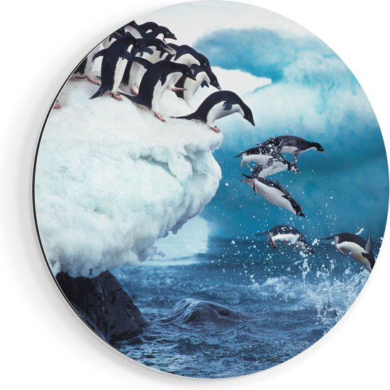Artaza Muurcirkel - Kudde Pinguïns Springen vanaf een Rots - Wandcirkel - Rond Schilderij