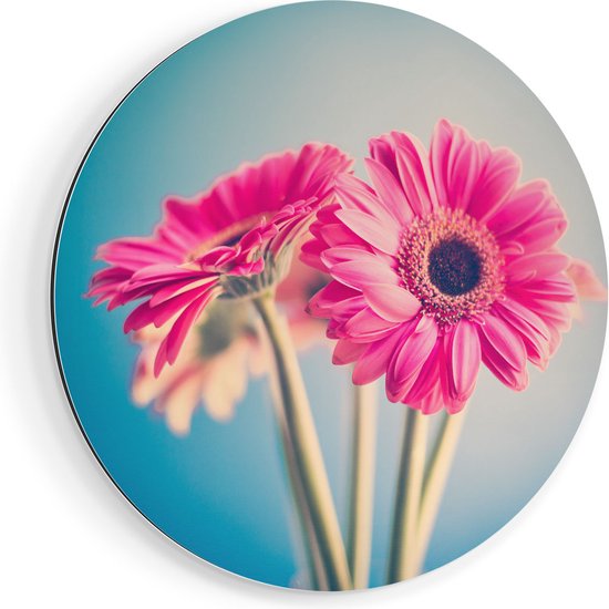 Cercle mural Artaza Dibond Deux œillets roses - Fleurs - Ø 80 cm - Groot - Cercle mural - Peinture ronde - Pour intérieur et extérieur