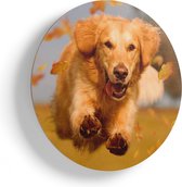 Artaza Houten Muurcirkel - Golden Retriever Hond In De Herfst Bladeren - Ø 75 cm - Multiplex Wandcirkel - Rond Schilderij