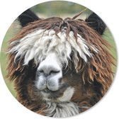 Muismat - Mousepad - Rond - Alpaca - Vacht - Bruin - 50x50 cm - Ronde muismat