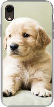 Geschikt voor iPhone XR hoesje - Golden Retriever puppy liggend op de bank - Siliconen Telefoonhoesje