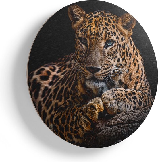 Artaza Cercle Mural en Bois - Léopard aux Yeux Bleus - Ø 40 cm - Klein - Cercle Mural en Contreplaqué - Peinture Ronde