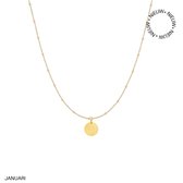 Ketting Flower Collectie - januari goud