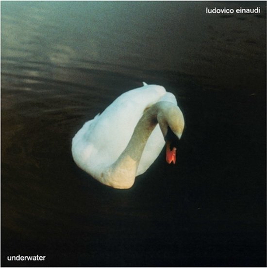 Cygne sur eau sombre, avec les textes 'ludovico einaudi' et 'underwater'.