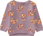 NAME IT MINI NMFPAWPATROL FAMSA SWEAT UNB VDE Meisjes Trui - Maat 104