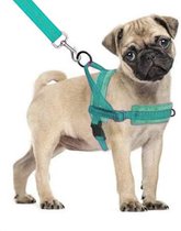 Hondentuigje - voor kleine honden - turquoise - maat XS - no pull harnas - fleece voering - zacht en comfortabel