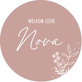 Luniott Geboorte raamsticker welkom old pink