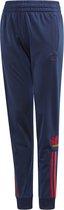 adidas 3D Track Pants