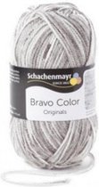 Schachenmayr Bravo Color Nr 00105