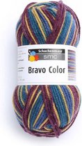Schachenmayr Bravo Color Nr 02103