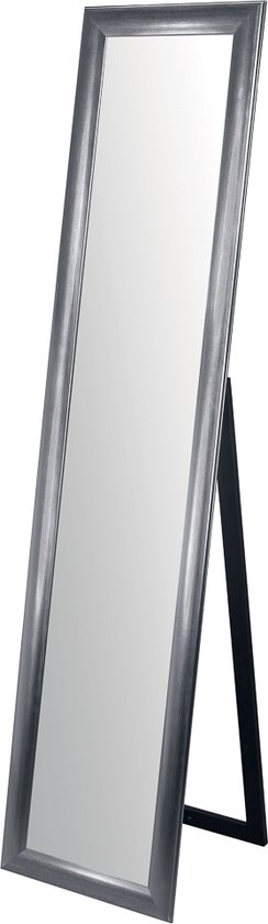 Spiegels Moderne Passpiegel Zilver Staande