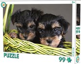 Kinderpuzzel - 99 stukjes - +3 Jaar - Puppy's