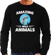 Sweater dolfijn - zwart - heren - amazing wild animals - cadeau trui dolfijn / dolfijnen liefhebber L