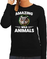 Sweater uil - zwart - dames - amazing wild animals - cadeau trui uil / uilen liefhebber 2XL