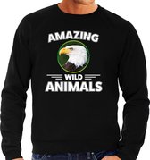 Sweater zeearend - zwart - heren - amazing wild animals - cadeau trui zeearend / arend roofvogels liefhebber L