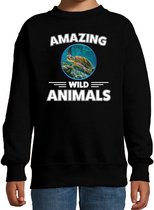 Sweater schildpad - zwart - kinderen - amazing wild animals - cadeau trui schildpad / schildpadden liefhebber 5-6 jaar (110/116)