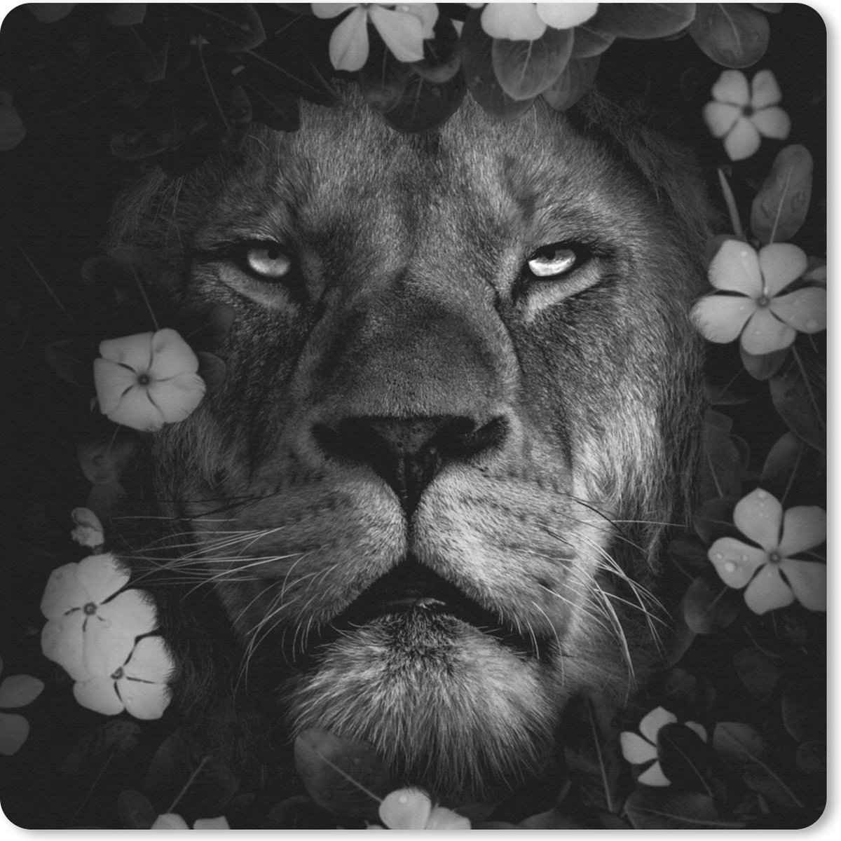 Muismat 30x30 cm - Mousepad Bloemen - Jungle - Leeuw - Zwart - Wit - Muismatten
