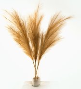 Zijden pampas pluimen goud - pampasgras - zijdenbloemen - 100cm - kunstbloemen - 1 kunsttak