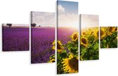 Schilderij - Lavendel en zonnebloem, 5luik, premium print