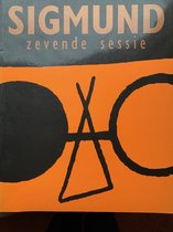 Sigmund Zevende Sessie24